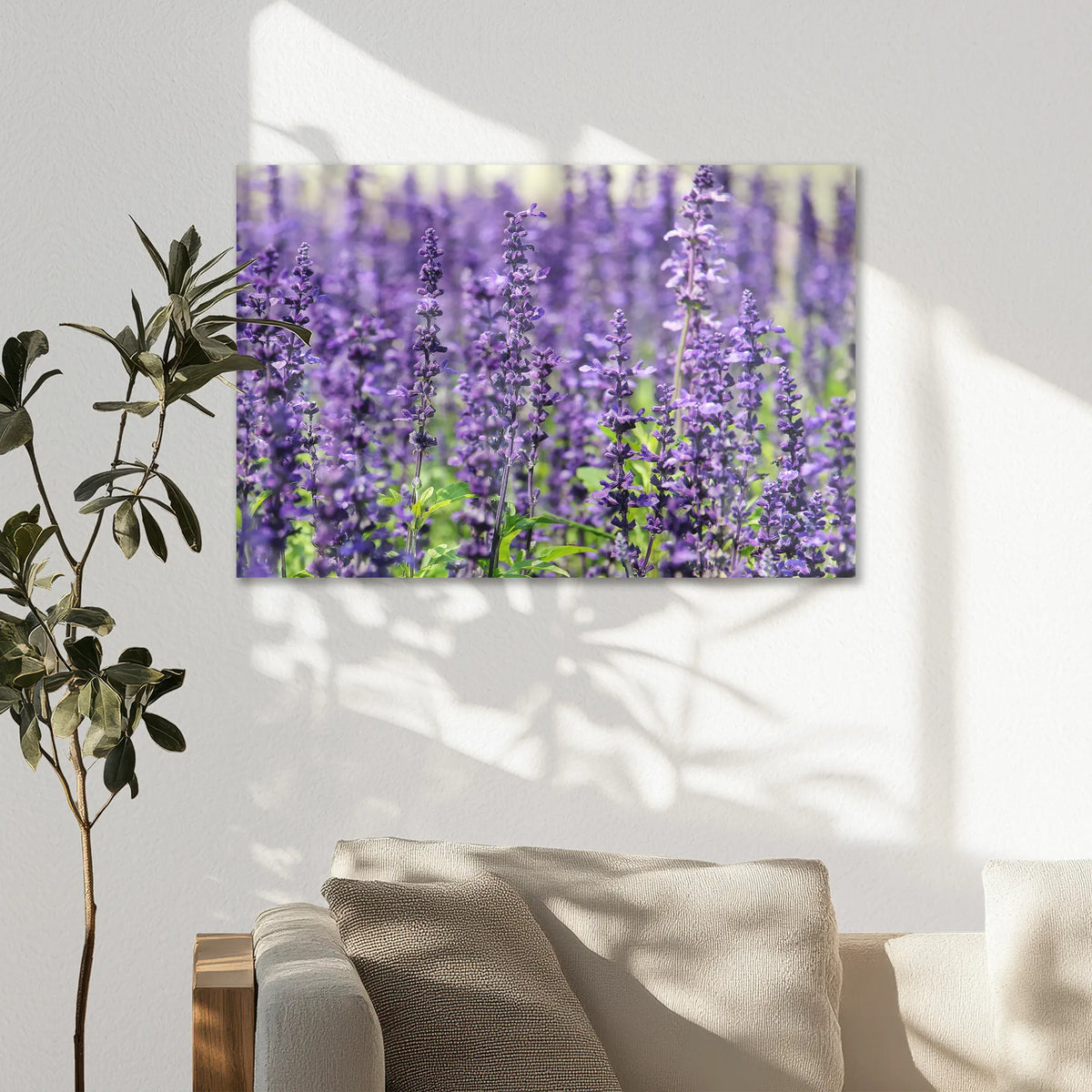 AC-075W050