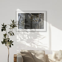 PSP120W080