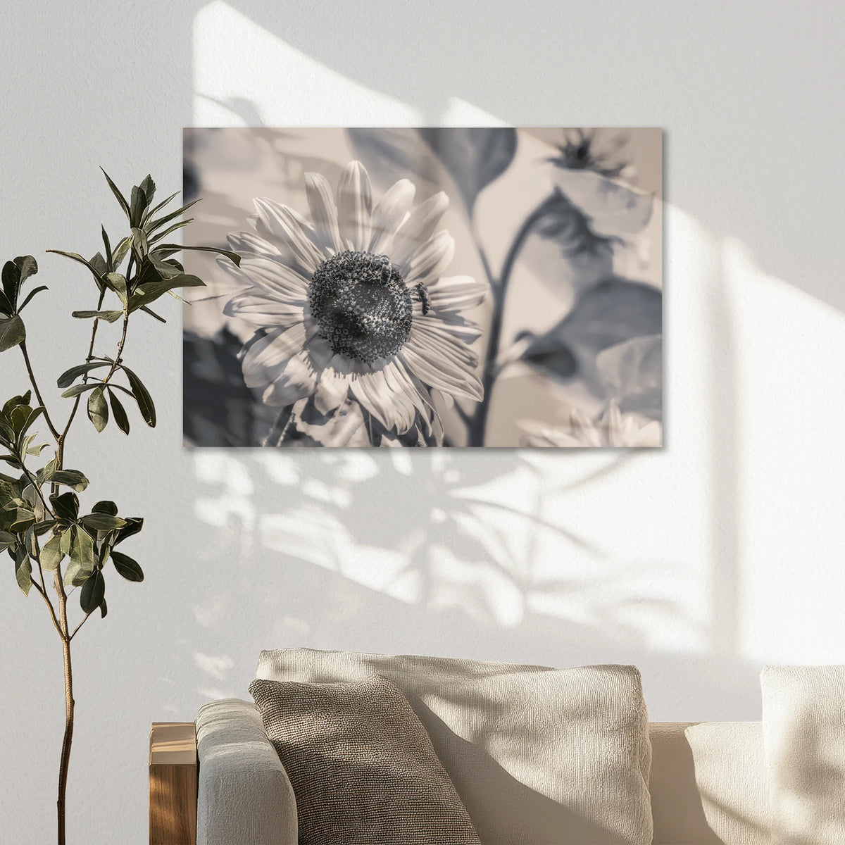 AC-075W050