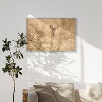 PS-100W070
