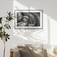 PBP093W062