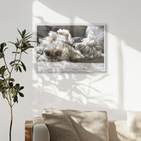 PW-093W062