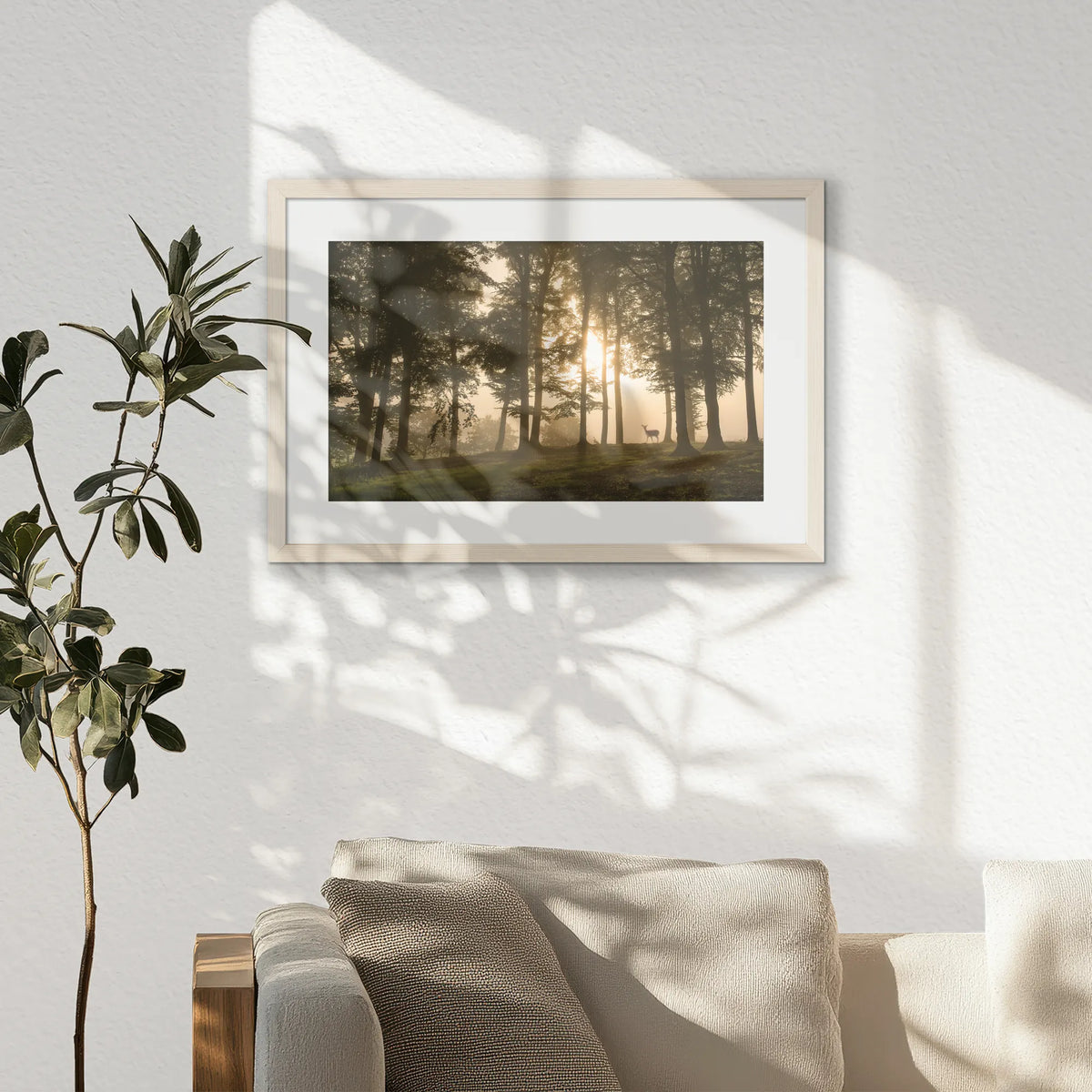 PNP060W040