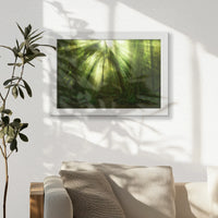 LWW030W020