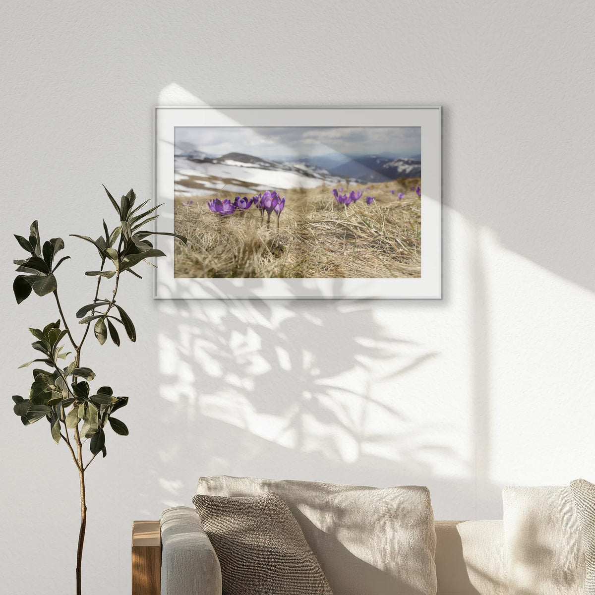 PSP120W080
