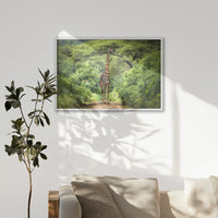 LWW100W070