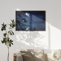 LWN120W080