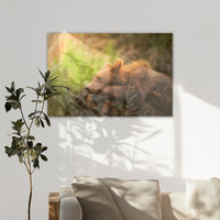 LW-120W080