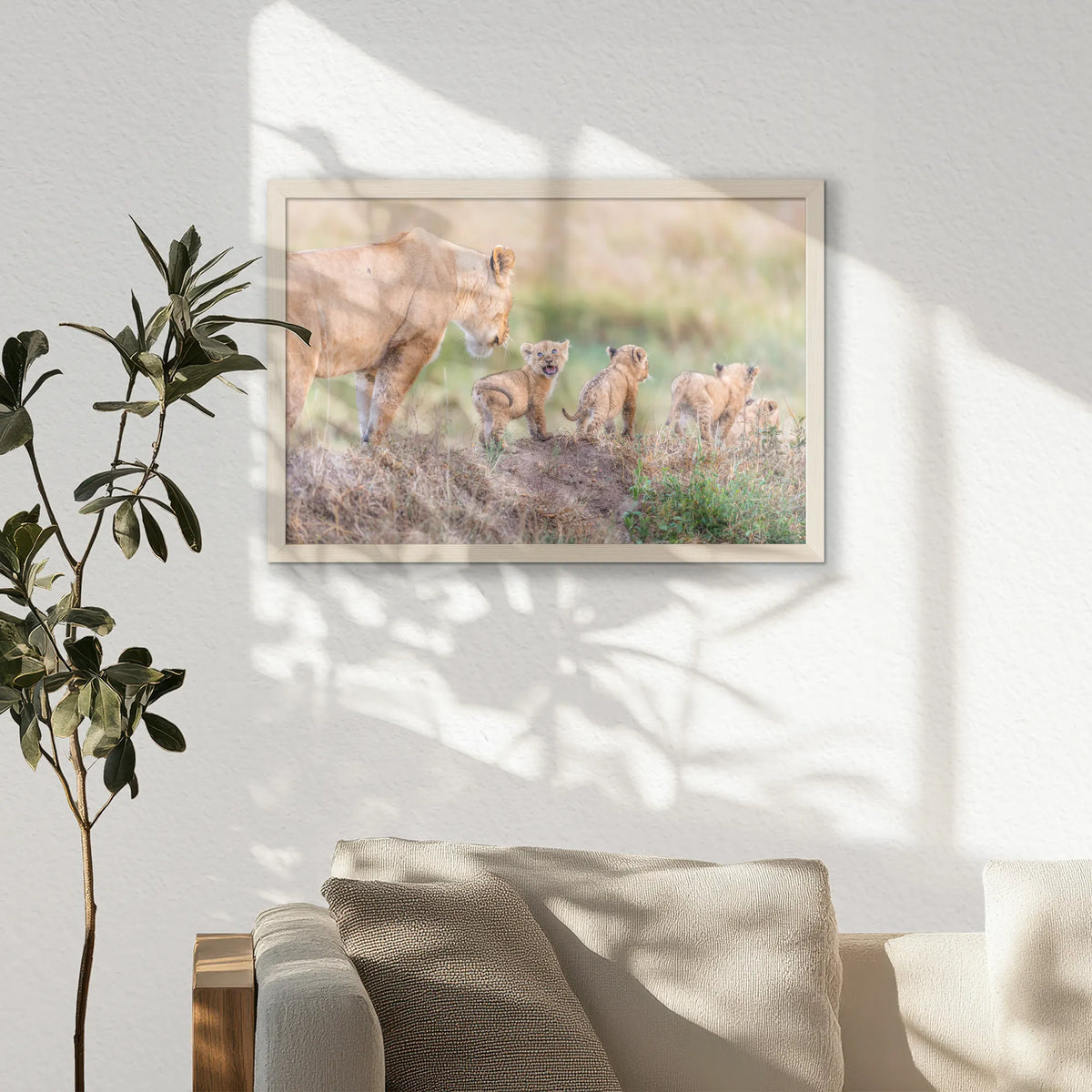PN-060W040