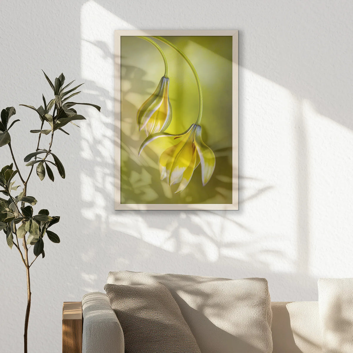 PN-040W060