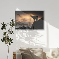 PS-120W080