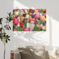 PO-075W050