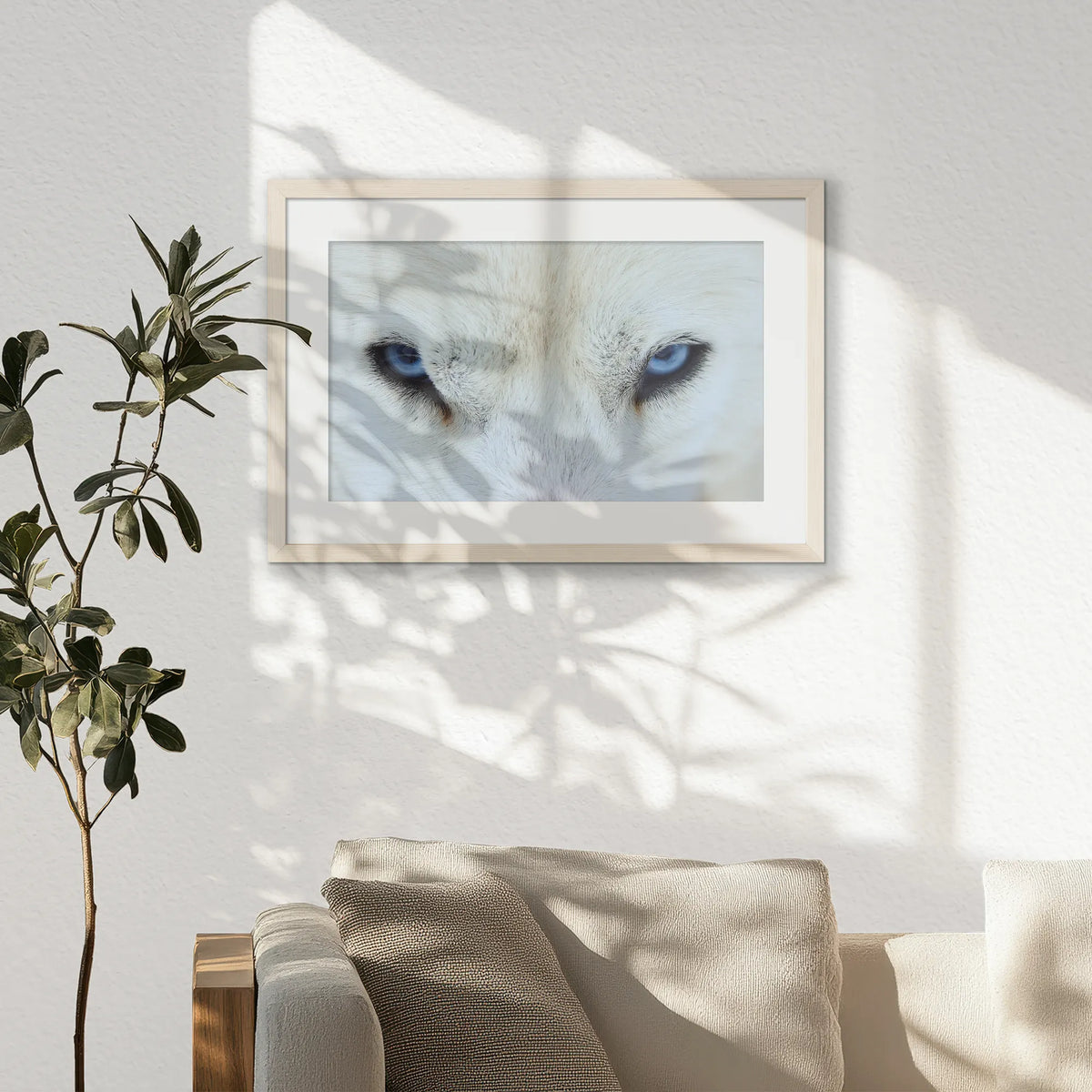PNP060W040