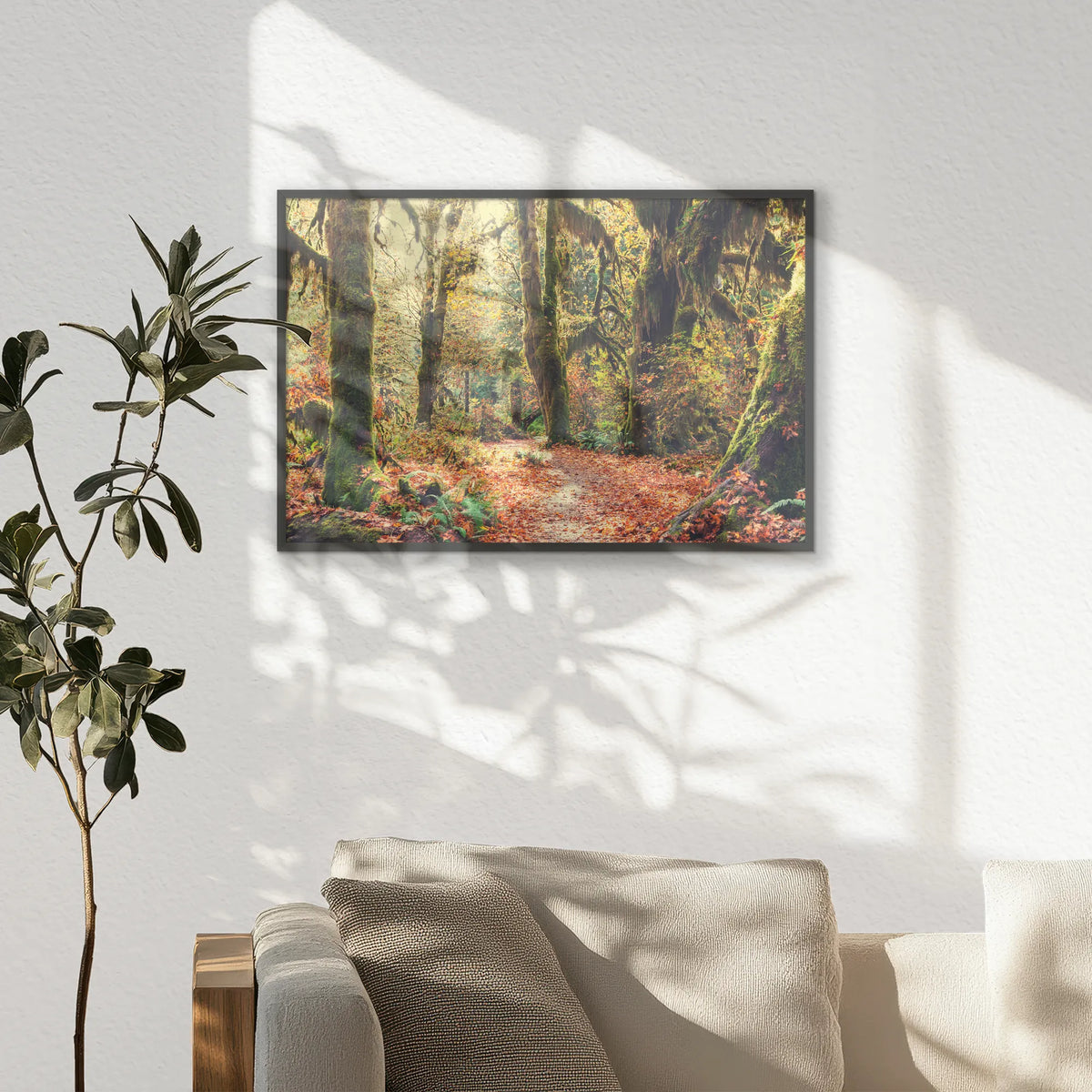 PB-060W040