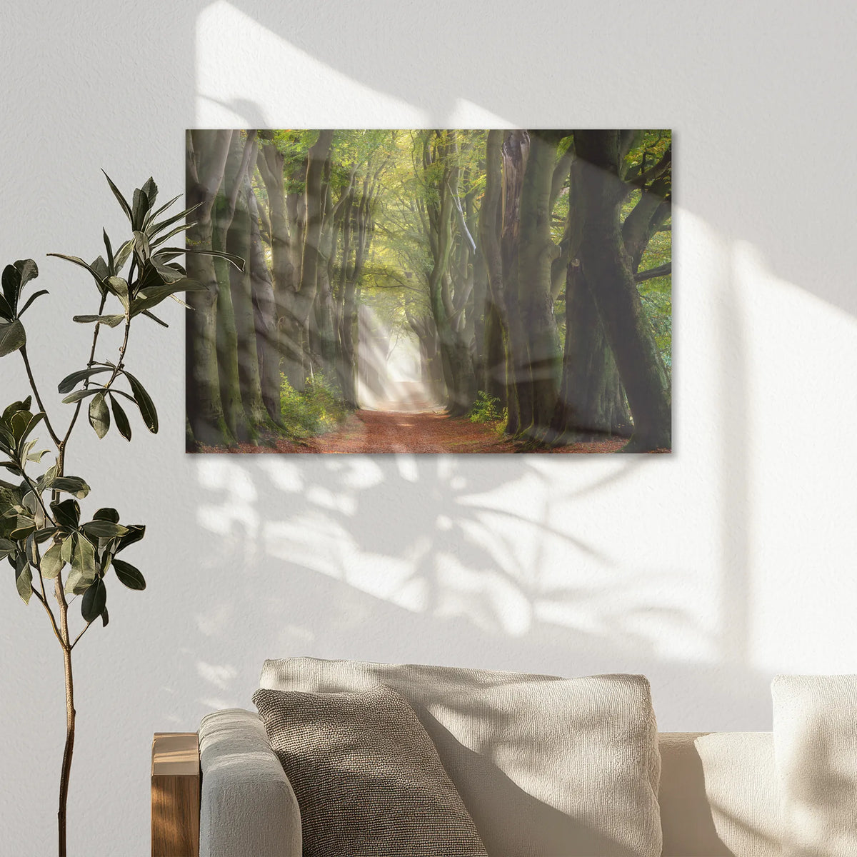 AC-075W050