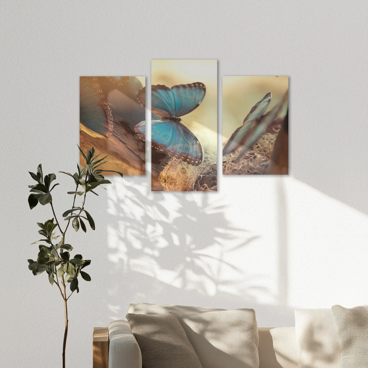 AC-150T100