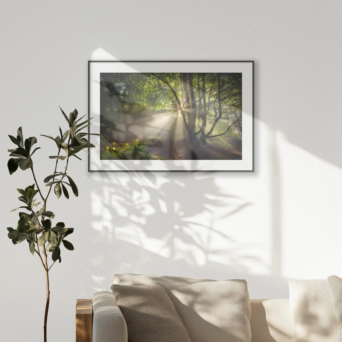 PBP120W080