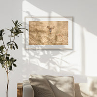 PNP093W062