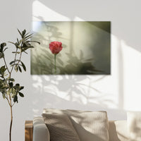 AL-075W050