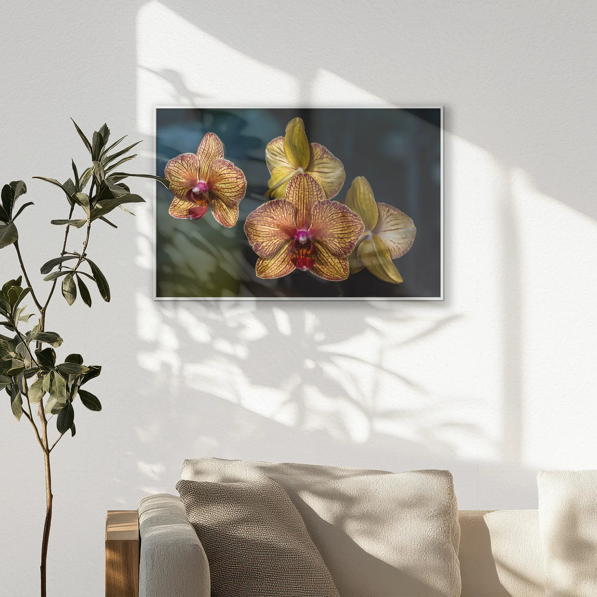 PS-093W062
