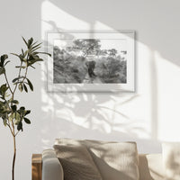 PWP093W062