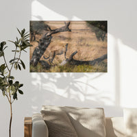 PO-090W060