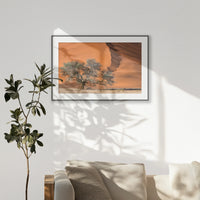 PBP120W080