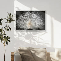 PS-060W040