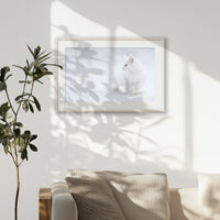 PNP093W062
